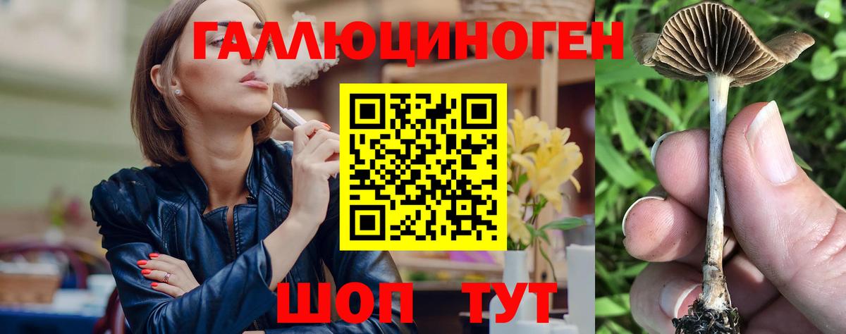 Псилоцибиновые грибы Psilocybe  Псилоцибиновые грибы мухоморы  Сочи  Вход с VPN 