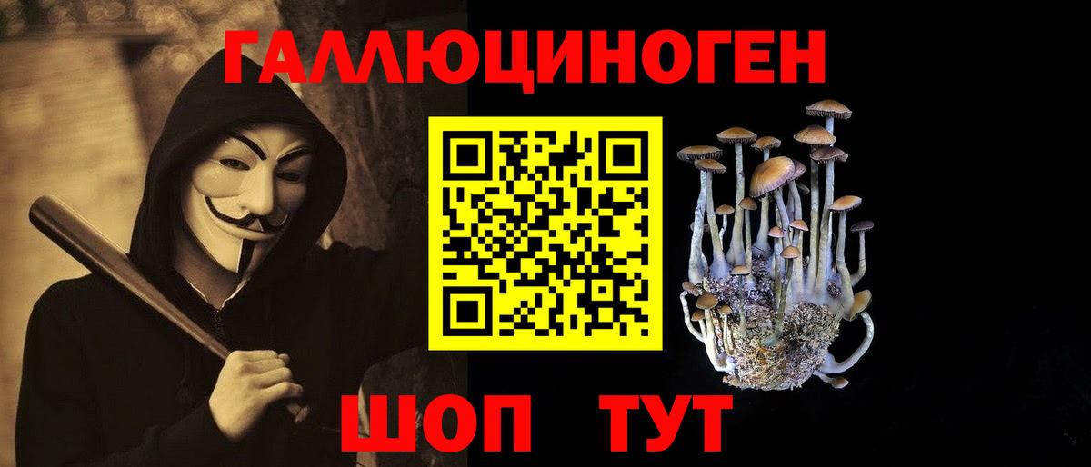 Галлюциногенные грибы GOLDEN TEACHER Сочи